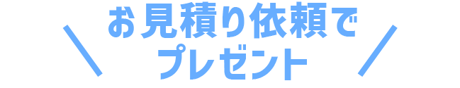 プレゼント シューカラット