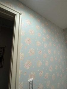 TOTO オクターブスリム リフォーム中_2