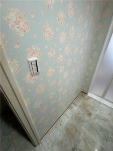 TOTO オクターブスリム リフォーム中_3