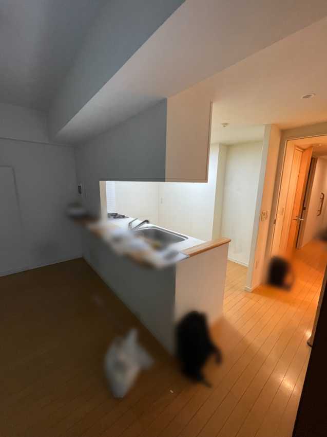 タカラスタンダード リフィット リフォーム前_2