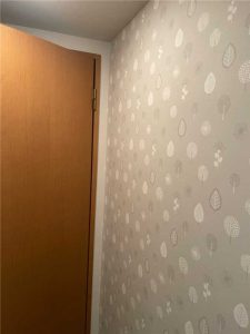 TOTO オクターブスリム リフォーム中_3